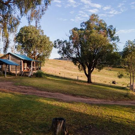 Gaddleen Grove Cottages Wodonga Ngoại thất bức ảnh