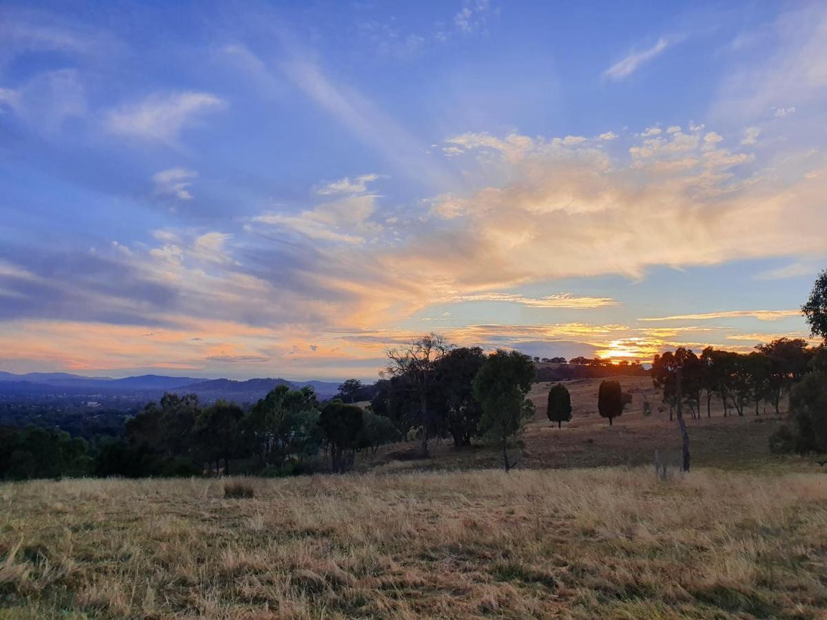 Gaddleen Grove Cottages Wodonga Ngoại thất bức ảnh
