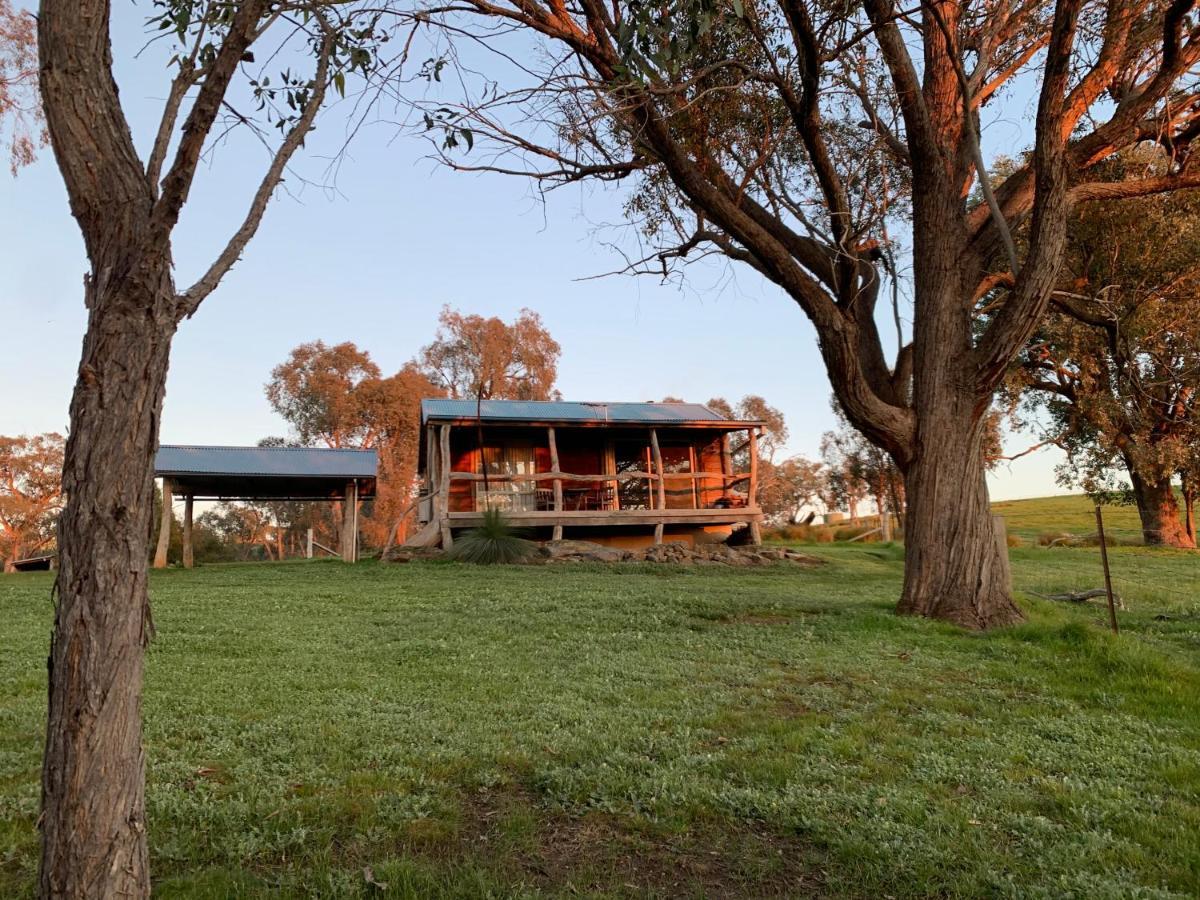 Gaddleen Grove Cottages Wodonga Ngoại thất bức ảnh