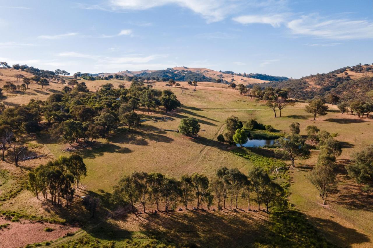 Gaddleen Grove Cottages Wodonga Ngoại thất bức ảnh